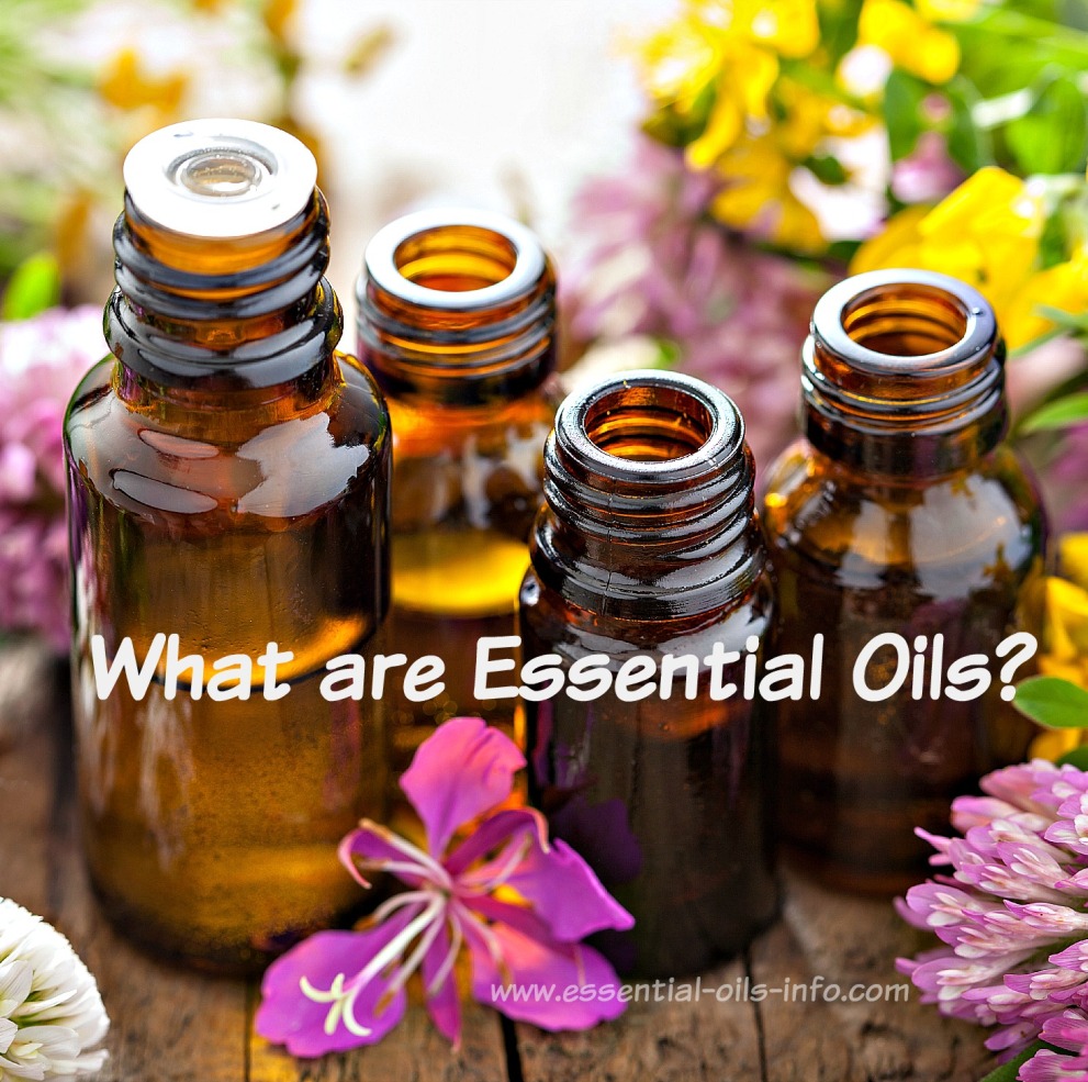 Essential Oils Young Living Oils for Aromatherapy