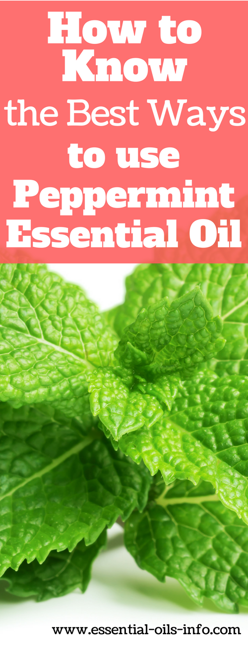 peppermint oil